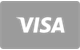crypto-leo-casino-pl_Visa-card-flat.png
